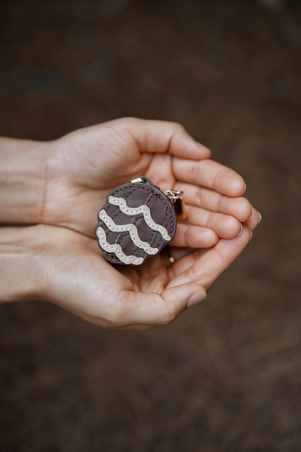 01 Pinecone